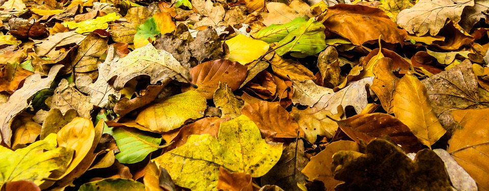 herfst